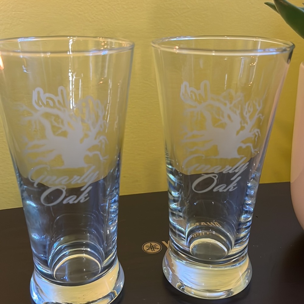 Minhas Gnarly Oak Pilsner Beer Glasses Set of 2